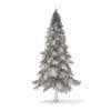 Fir Tree with Snow 3D Model 5.9m (9828) - Image 2