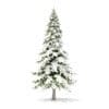Fir Tree with Snow 3D Model 5.9m (9828) - Image 3