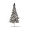Fir Tree with Snow 3D Model 7m (9830) - Image 8