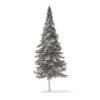 Fir Tree 3D Model 10m (9831) - Image 2
