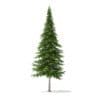 Fir Tree 3D Model 10m (9831) - Image 5