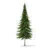 Fir Tree 3D Model 10m (9831) - Image 7