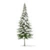 Fir Tree with Snow 3D Model 10m (9832) - Image 3