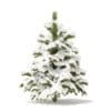 Pine Tree with Snow 3D Model 1.4m (9834) - Image 5
