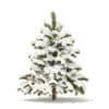 Pine Tree with Snow 3D Model 1.4m (9834) - Image 7