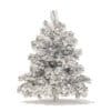 Pine Tree with Snow 3D Model 1.4m (9834) - Image 8