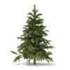 Pine Tree 3D Model 2.3m (9835) - Image 7