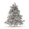 Pine Tree with Snow 3D Model 2.3m (9836) - Image 2