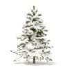 Pine Tree with Snow 3D Model 2.3m (9836) - Image 7