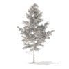 Pine Tree 3D Model 5.1m (9837) - Image 8