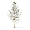 Pine Tree with Snow 3D Model 5.1m (9838) - Image 3