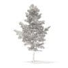 Pine Tree with Snow 3D Model 5.1m (9838) - Image 4