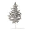 Pine Tree 3D Model 5.5m (9839) - Image 2