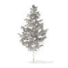 Pine Tree 3D Model 5.5m (9839) - Image 4