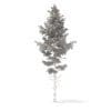 Pine Tree 3D Model 10.2m (9843) - Image 4