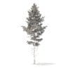 Pine Tree 3D Model 10.2m (9843) - Image 8