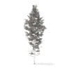 Pine Tree 3D Model 14m (9845) - Image 4