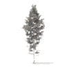 Pine Tree 3D Model 14m (9845) - Image 8