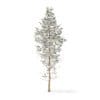Pine Tree with Snow 3D Model 14m (9846) - Image 3