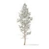 Pine Tree with Snow 3D Model 14m (9846) - Image 5
