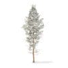 Pine Tree with Snow 3D Model 14m (9846) - Image 7