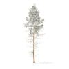 Pine Tree with Snow 3D Model 16m (9848) - Image 5