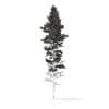Pine Tree with Snow 3D Model 25m (9850) - Image 2