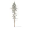 Pine Tree with Snow 3D Model 25m (9850) - Image 3