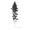 Pine Tree with Snow 3D Model 25m (9850) - Image 4
