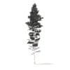 Pine Tree with Snow 3D Model 25m (9850) - Image 6