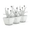 Plastic Flowers 3D Model