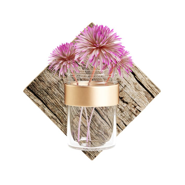 Wall Hanging Flask with Flower 3D Model (10310)