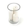 Candlesticks in Glass Vase 3D Model