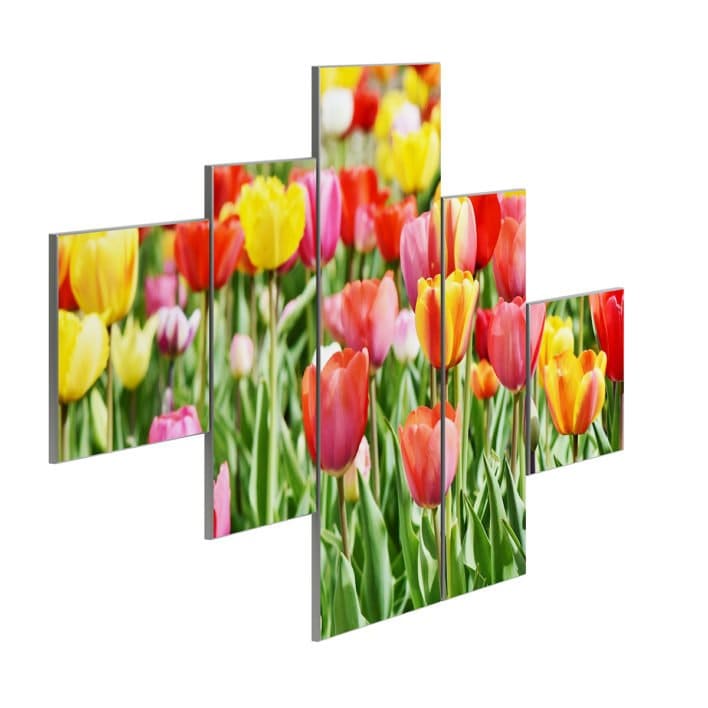 Flower Wall Pictures 3D Model