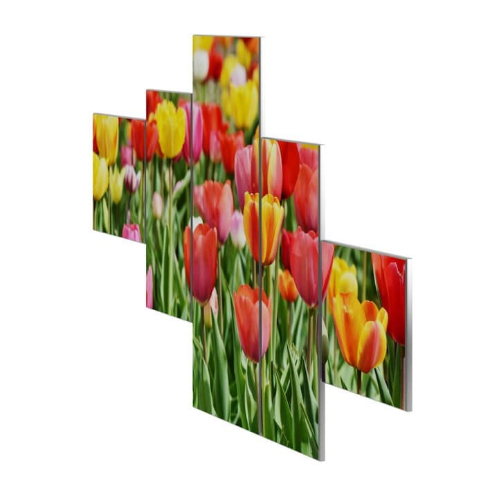 Flower Wall Pictures 3D Model