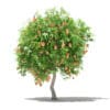 Fruit Trees 3D Models Collection - Volume 105 - Image 47