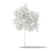 Avocado Tree with Fruits 3D Model 1.5m (10502) - Image 4