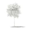 Avocado Tree with Fruits 3D Model 1.5m (10502) - Image 6
