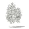 Avocado Tree with Fruits 3D Model 2.9m (10504) - Image 2