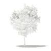 Common Fig Tree 3D Model 1.4m (10511) - Image 8