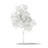 Olive Tree with Fruits 3D Model 1.8m (10531) - Image 6