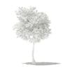 Olive Tree 3D Model 3m (10533) - Image 4