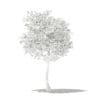 Olive Tree with Fruits 3D Model 3m (10534) - Image 4