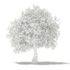 Olive Tree 3D Model 3.9m (10539) - Image 6