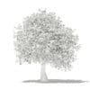 Olive Tree with Fruits 3D Model 3.9m (10540) - Image 2