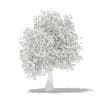 Olive Tree with Fruits 3D Model 3.9m (10540) - Image 8