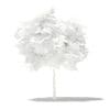 Mango Tree 3D Model 1.7m (10541) - Image 2