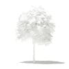 Mango Tree 3D Model 1.7m (10541) - Image 4