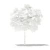 Mango Tree 3D Model 1.7m (10541) - Image 6