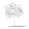 Mango Tree with Fruits 3D Model 1.7m (10542) - Image 2